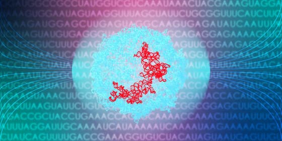 RNA 3D Folding Pipeline