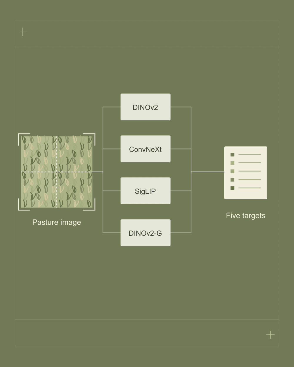 CSIRO Image2Biomass Prediction project