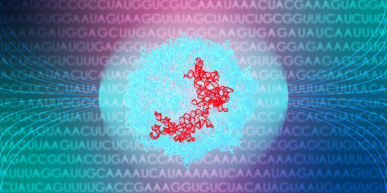 RNA 3D Folding Pipeline project preview